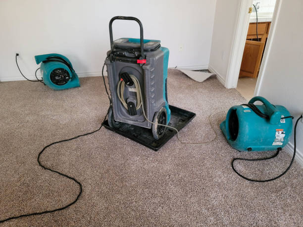 Best Flood restoration services  in Arcola, TX