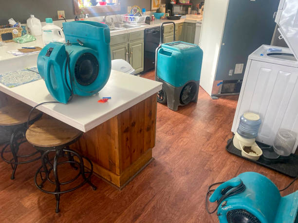 Best Water damage cleanup near me  in Arcola, TX