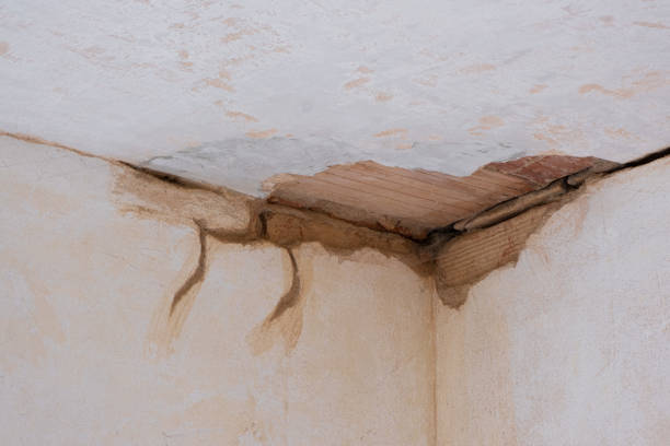 Best Emergency water damage restoration  in Arcola, TX