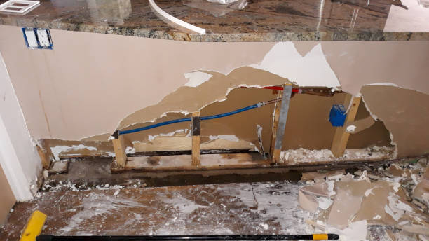 Best Sewage cleanup and water damage restoration  in Arcola, TX