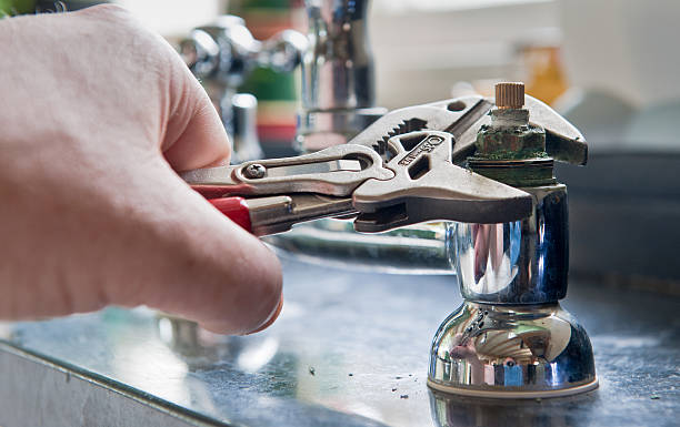 Best Mold removal after water damage  in Arcola, TX