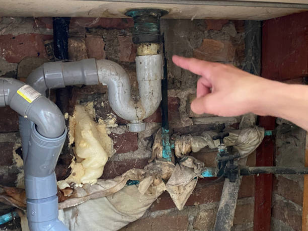 Best Ceiling water damage repair  in Arcola, TX