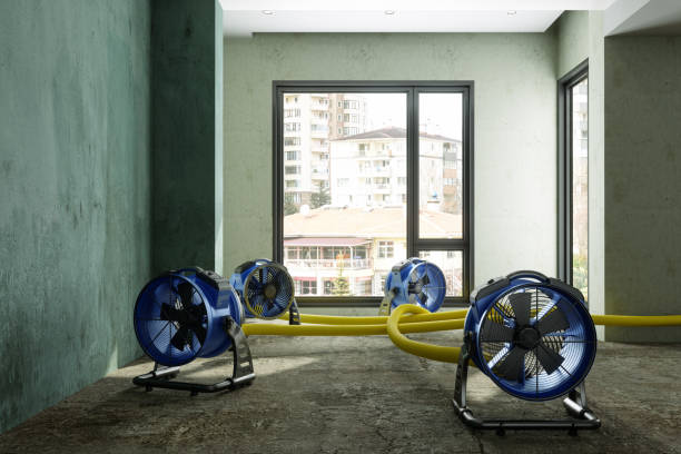 Best Commercial water damage restoration  in Arcola, TX